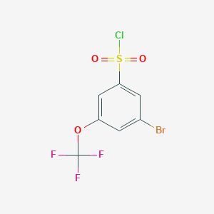 molecular formula C7H3BrClF3O3S B1459560 3-Bromo-5-(trifluoromethoxy)benzenesulfonyl chloride CAS No. 1706446-78-7