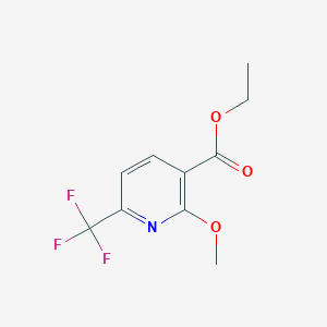 molecular formula C10H10F3NO3 B1459751 Ethyl 2-methoxy-6-(trifluoromethyl)nicotinate CAS No. 1227579-55-6
