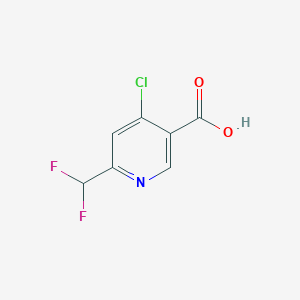 4-Chloro-6-(difluoromethyl)nicotinic acid