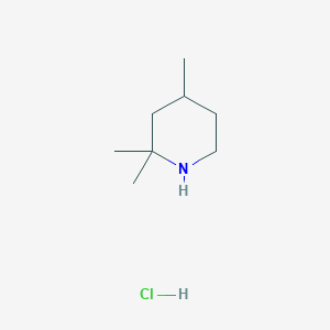 molecular formula C8H18ClN B1459882 2,2,4-Trimethylpiperidine hydrochloride CAS No. 2060043-37-8