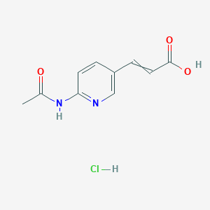 molecular formula C10H11ClN2O3 B1460045 3-(6-乙酰氨基吡啶-3-基)丙-2-烯酸；盐酸盐 CAS No. 1864760-25-7