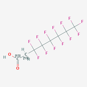 molecular formula C8H3F13O2 B1460102 6:2 Fluorotelemer [13C2] carboxylic acid CAS No. 872398-75-9