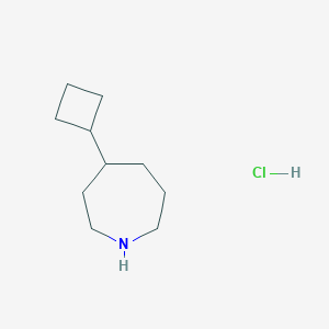 molecular formula C10H20ClN B1460463 4-Cyclobutylazepane hydrochloride CAS No. 2060063-12-7