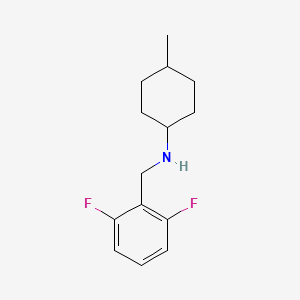molecular formula C14H19F2N B1460710 N-[(2,6-difluorophenyl)methyl]-4-methylcyclohexan-1-amine CAS No. 1019472-38-8