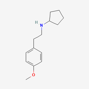 molecular formula C14H21NO B1460724 N-[2-(4-methoxyphenyl)ethyl]cyclopentanamine CAS No. 748133-58-6