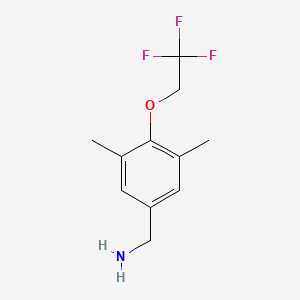 molecular formula C11H14F3NO B1460844 3,5-Dimethyl-4-(2,2,2-trifluoro-ethoxy)-benzylamine CAS No. 1039317-21-9