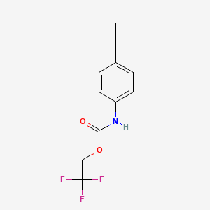 2,2,2-trifluoroethyl N-(4-tert-butylphenyl)carbamate