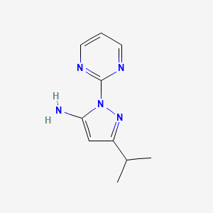 molecular formula C10H13N5 B1461334 3-Isopropyl-1-(pyrimidin-2-yl)-1H-pyrazol-5-amine CAS No. 1153082-81-5