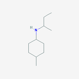 molecular formula C11H23N B1461406 N-(butan-2-yl)-4-methylcyclohexan-1-amine CAS No. 1592005-34-9