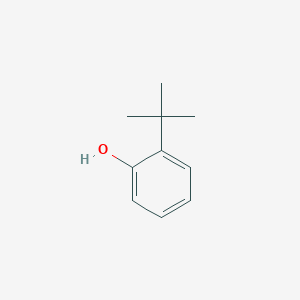 molecular formula C10H14O<br>(CH3)3CC6H4OH<br>C10H14O B146161 2-叔丁基苯酚 CAS No. 88-18-6