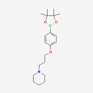 molecular formula C20H32BNO3 B1461670 1-(3-(4-(4,4,5,5-Tetramethyl-1,3,2-dioxaborolan-2-yl)phenoxy)propyl)piperidine CAS No. 401895-68-9
