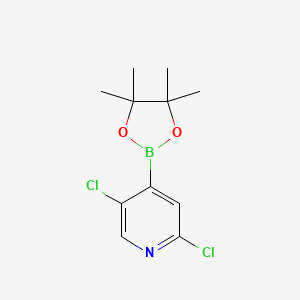 molecular formula C11H14BCl2NO2 B1461733 2,5-Dichloropyridine-4-boronic acid pinacol ester CAS No. 1073353-98-6