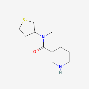 N-methyl-N-(thiolan-3-yl)piperidine-3-carboxamide