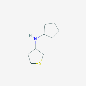 molecular formula C9H17NS B1462045 N-cyclopentylthiolan-3-amine CAS No. 1019579-73-7