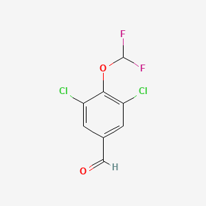 molecular formula C8H4Cl2F2O2 B1462352 3,5-Dichloro-4-(difluoromethoxy)benzaldehyde CAS No. 1806275-15-9