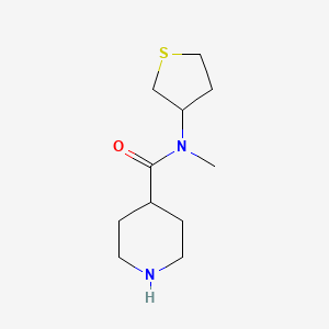 molecular formula C11H20N2OS B1462503 N-methyl-N-(thiolan-3-yl)piperidine-4-carboxamide CAS No. 1095625-81-2