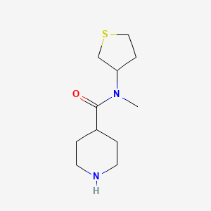 N-methyl-N-(thiolan-3-yl)piperidine-4-carboxamide