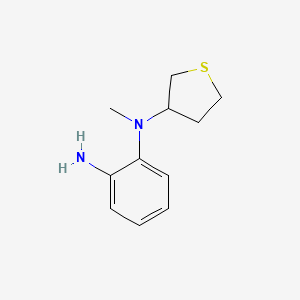 N1-methyl-N1-(thiolan-3-yl)benzene-1,2-diamine