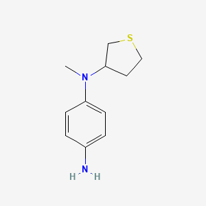 N1-methyl-N1-(thiolan-3-yl)benzene-1,4-diamine