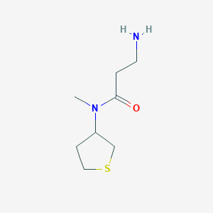 molecular formula C8H16N2OS B1462581 3-amino-N-methyl-N-(thiolan-3-yl)propanamide CAS No. 1095531-81-9