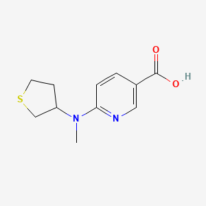 molecular formula C11H14N2O2S B1462592 6-[Methyl(thiolan-3-yl)amino]pyridine-3-carboxylic acid CAS No. 1095511-93-5