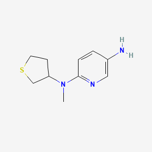 molecular formula C10H15N3S B1462594 N2-methyl-N2-(thiolan-3-yl)pyridine-2,5-diamine CAS No. 1095592-06-5