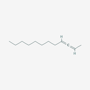 molecular formula C12H22 B14626561 Dodeca-2,3-diene CAS No. 56956-47-9