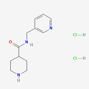 molecular formula C12H19Cl2N3O B1462674 N-(pyridin-3-ylmethyl)piperidine-4-carboxamide dihydrochloride CAS No. 1170206-86-6