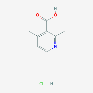 molecular formula C8H10ClNO2 B1462872 2,4-Dimethylnicotinic acid hydrochloride CAS No. 133897-06-0