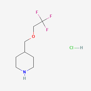 molecular formula C8H15ClF3NO B1463124 4-[(2,2,2-Trifluoroethoxy)methyl]piperidine hydrochloride CAS No. 1193387-27-7