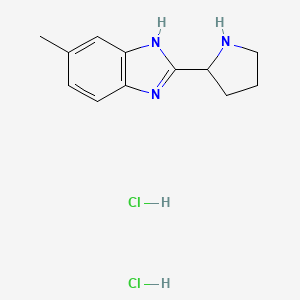 molecular formula C12H17Cl2N3 B1463127 5-methyl-2-(pyrrolidin-2-yl)-1H-1,3-benzodiazole dihydrochloride CAS No. 1185692-43-6