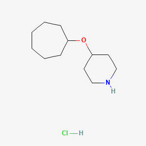 molecular formula C12H24ClNO B1463165 4-(环庚氧基)哌啶盐酸盐 CAS No. 1235438-80-8