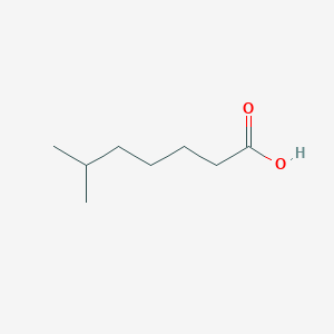 molecular formula C8H16O2 B146326 6-Methylheptanoic acid CAS No. 929-10-2