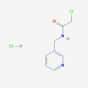 molecular formula C8H10Cl2N2O B1463406 2-氯-N-(吡啶-3-基甲基)乙酰胺盐酸盐 CAS No. 1263276-30-7