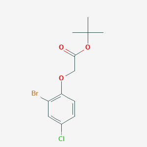 molecular formula C12H14BrClO3 B1463423 tert-Butyl (2-bromo-4-chlorophenoxy)acetate CAS No. 779328-99-3
