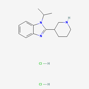 2-(piperidin-3-yl)-1-(propan-2-yl)-1H-1,3-benzodiazole dihydrochloride