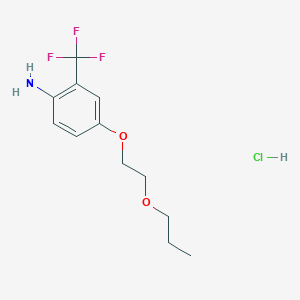 molecular formula C12H17ClF3NO2 B1463644 4-(2-Propoxyethoxy)-2-(trifluoromethyl)aniline hydrochloride CAS No. 1185297-62-4