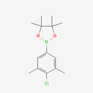 molecular formula C14H20BClO2 B1463893 2-(4-Chloro-3,5-dimethylphenyl)-4,4,5,5-tetramethyl-1,3,2-dioxaborolane CAS No. 1111096-20-8