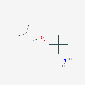 molecular formula C10H21NO B1463939 2,2-Dimethyl-3-(2-methylpropoxy)cyclobutan-1-amine CAS No. 1333767-82-0