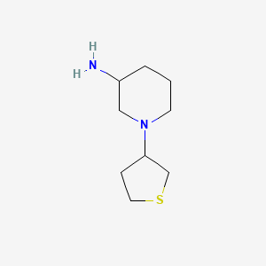 1-(Thiolan-3-yl)piperidin-3-amine