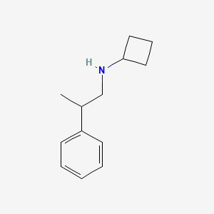 molecular formula C13H19N B1464465 N-(2-phenylpropyl)cyclobutanamine CAS No. 1249791-30-7