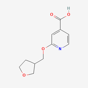 molecular formula C11H13NO4 B1464498 2-((Tetrahydrofuran-3-yl)methoxy)isonicotinic acid CAS No. 1248652-58-5