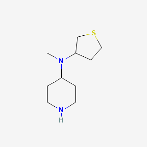 molecular formula C10H20N2S B1464525 N-methyl-N-(thiolan-3-yl)piperidin-4-amine CAS No. 1248616-65-0