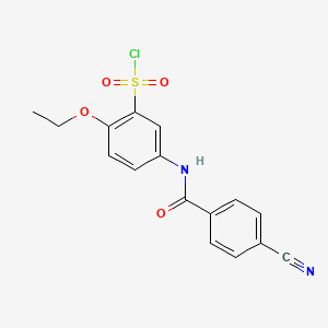 molecular formula C16H13ClN2O4S B1464748 5-(4-氰基苯甲酰氨基)-2-乙氧基苯-1-磺酰氯 CAS No. 680618-02-4