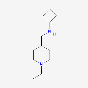 molecular formula C12H24N2 B1464877 N-[(1-ethylpiperidin-4-yl)methyl]cyclobutanamine CAS No. 1249141-49-8