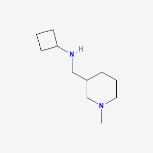 molecular formula C11H22N2 B1464948 N-[(1-methylpiperidin-3-yl)methyl]cyclobutanamine CAS No. 1248635-20-2