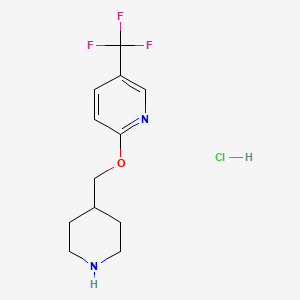 molecular formula C12H16ClF3N2O B1465020 2-(4-Piperidinylmethoxy)-5-(trifluoromethyl)-pyridine hydrochloride CAS No. 1220036-99-6