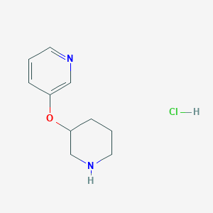 molecular formula C10H15ClN2O B1465025 3-(3-Pyridinyloxy)piperidine hydrochloride CAS No. 1220034-50-3