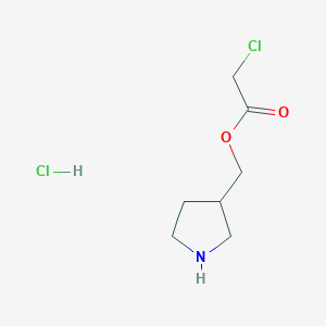 molecular formula C7H13Cl2NO2 B1465026 3-Pyrrolidinylmethyl 2-chloroacetate hydrochloride CAS No. 1219979-36-8