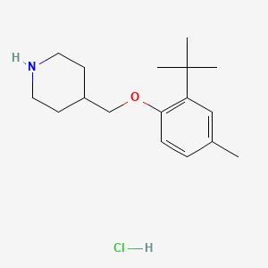 molecular formula C17H28ClNO B1465028 4-{[2-(叔丁基)-4-甲基苯氧基]-甲基}哌啶盐酸盐 CAS No. 1220036-11-2